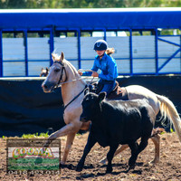 NimmitabelCampdraft2021_2569