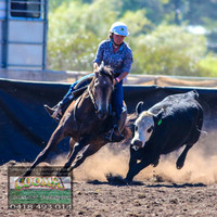 NimmitabelCampdraft2021_2803