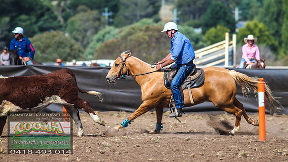 NimmitabelCampdraft2021_4100
