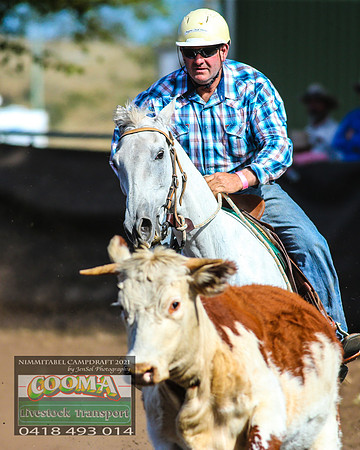 NimmitabelCampdraft2021_4034