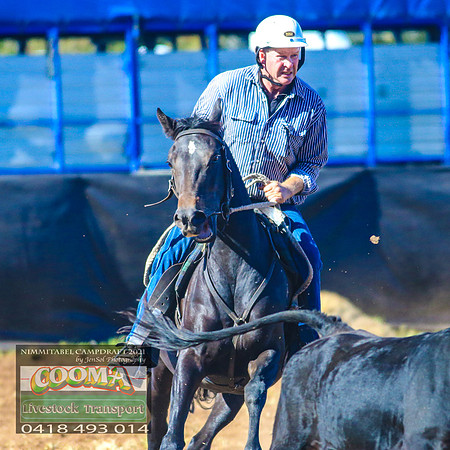 NimmitabelCampdraft2021_1458