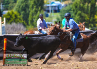NimmitabelCampdraft2021_0279