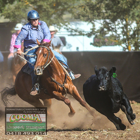 NimmitabelCampdraft2021_4411