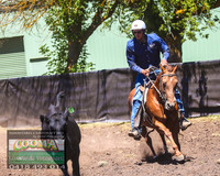 NimmitabelCampdraft2021_0028