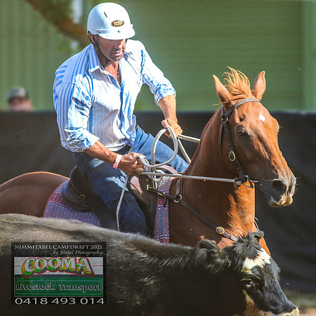 NimmitabelCampdraft2021_4395