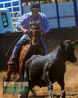 NimmitabelCampdraft2021_0088