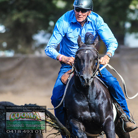 NimmitabelCampdraft2021_4234