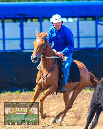 NimmitabelCampdraft2021_0910