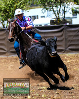 NimmitabelCampdraft2021_0064