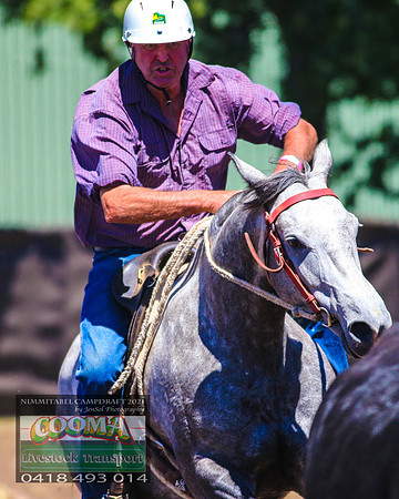 NimmitabelCampdraft2021_0453