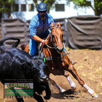 NimmitabelCampdraft2021_0259
