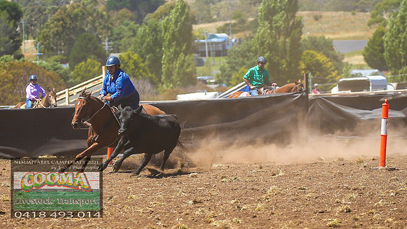 NimmitabelCampdraft2021_0177
