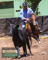 NimmitabelCampdraft2021_0092