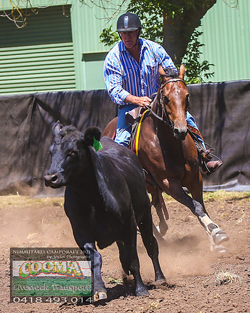 NimmitabelCampdraft2021_0092