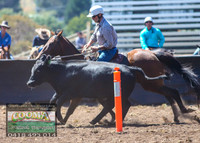 NimmitabelCampdraft2021_2994