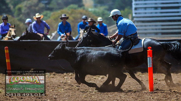 NimmitabelCampdraft2021_3065