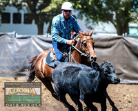 NimmitabelCampdraft2021_3006