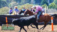 NimmitabelCampdraft2021_3146