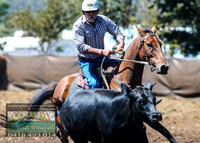 NimmitabelCampdraft2021_2988
