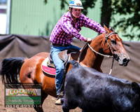 NimmitabelCampdraft2021_3130