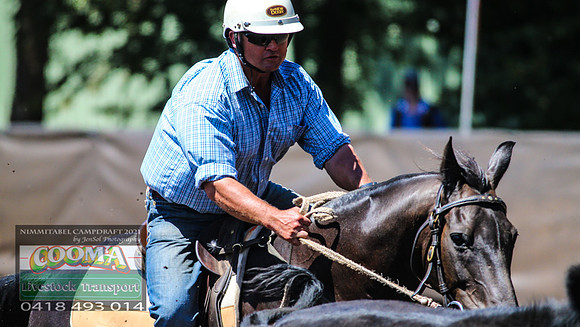 NimmitabelCampdraft2021_3051