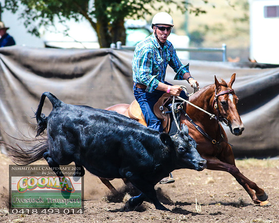 NimmitabelCampdraft2021_3204