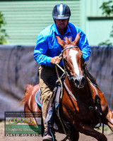 NimmitabelCampdraft2021_3091