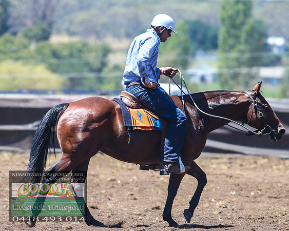 NimmitabelCampdraft2021_3365