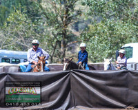 NimmitabelCampdraft2021_3650