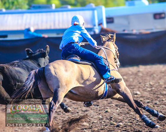 NimmitabelCampdraft2021_5361