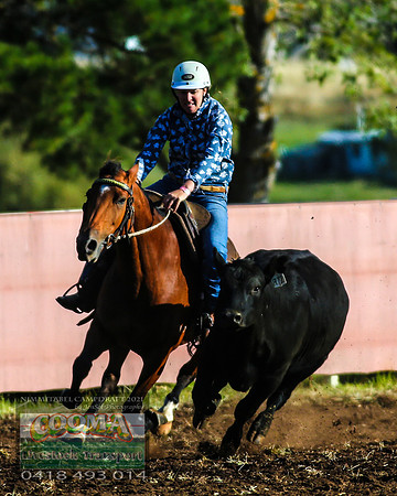 NimmitabelCampdraft2021_5420