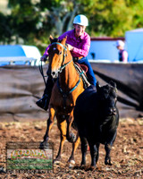 NimmitabelCampdraft2021_5163