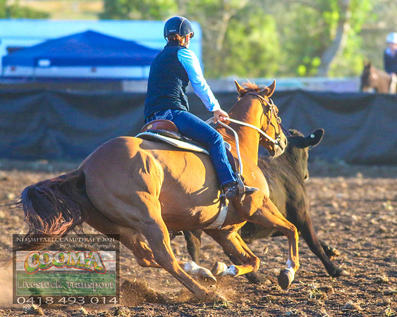 NimmitabelCampdraft2021_5002