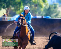 NimmitabelCampdraft2021_2245