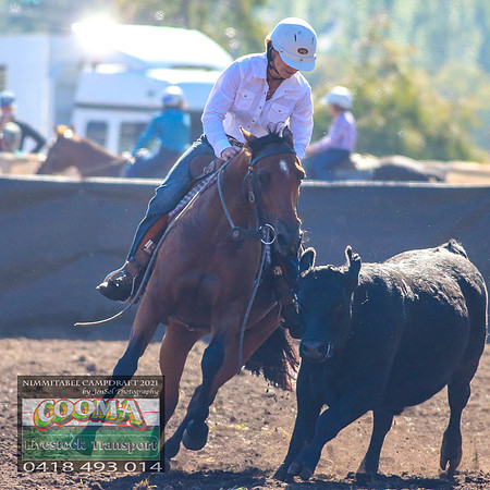 NimmitabelCampdraft2021_2280