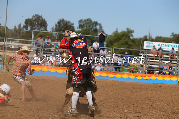 ForbesRodeo2015_0971