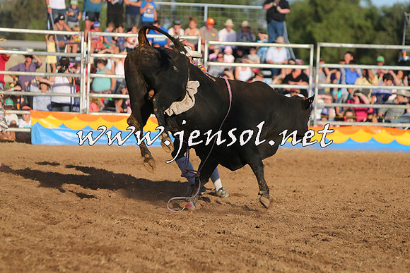 ForbesRodeo2015_1137