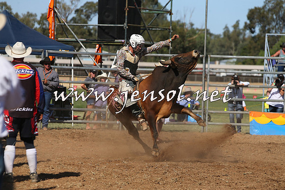 ForbesRodeo2015_0929