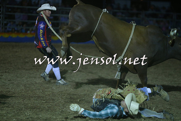 ForbesRodeo2015_2273