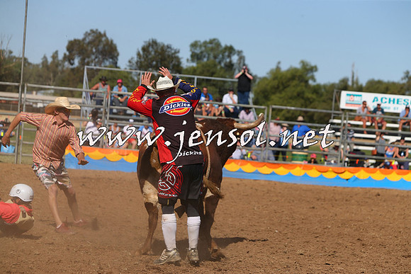 ForbesRodeo2015_0972