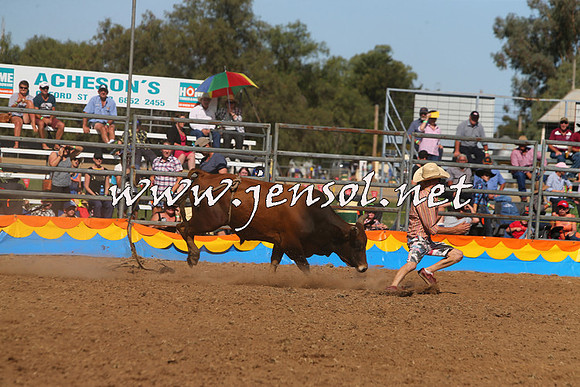 ForbesRodeo2015_0957