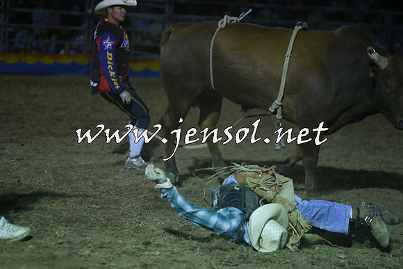 ForbesRodeo2015_2270