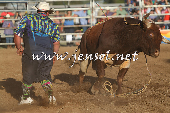 ForbesRodeo2015_1134