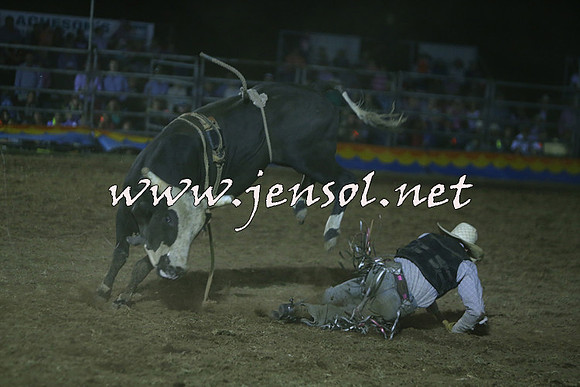 ForbesRodeo2015_2319