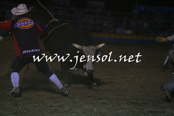ForbesRodeo2015_2338