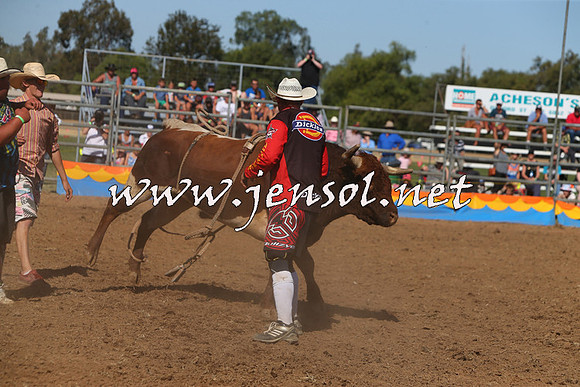 ForbesRodeo2015_0967