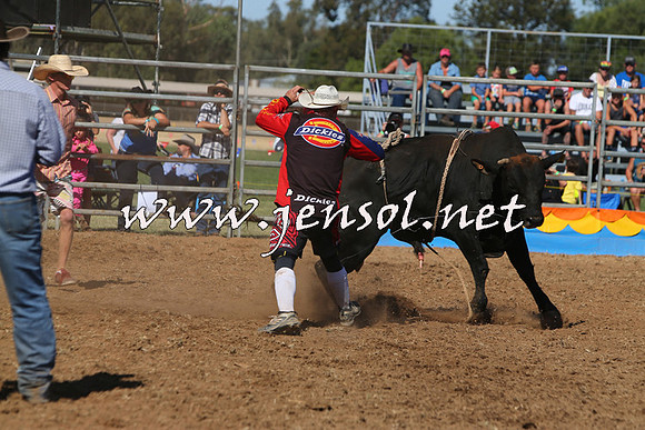 ForbesRodeo2015_0926