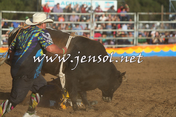 ForbesRodeo2015_1126