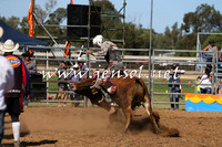 ForbesRodeo2015_0937