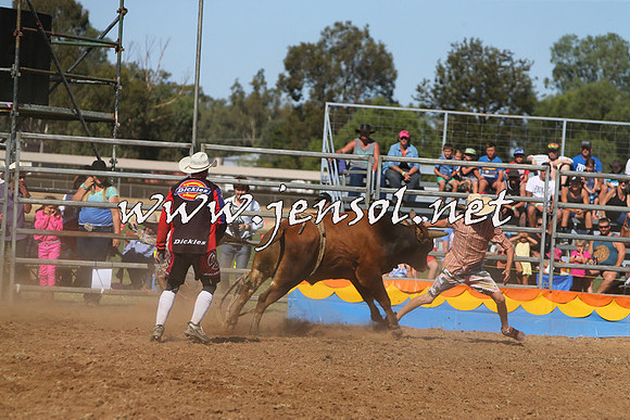 ForbesRodeo2015_0949